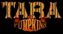 Tara pumpkins