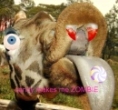 candy zombie