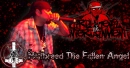 Breed Promo Banner 1