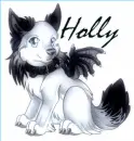Holly