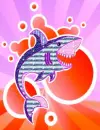 sharky