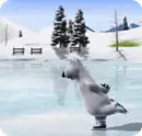 ice skate,Backkom