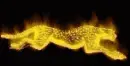 flaming cheetah