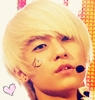 L.joe