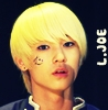 L.joe