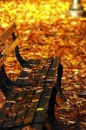 Fall 