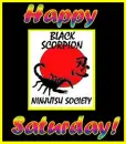 Saturday Ninja Greeting