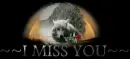Miss you 