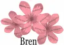 Happy birthday Bren