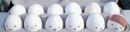Egg w/ Bandage