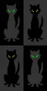 black cat background