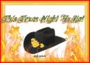 THIS TEXAS NIGHT IS HOT