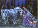 Night Encounter