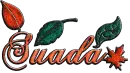 Suada