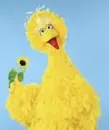 Big Bird loves you!