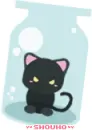 Kitty