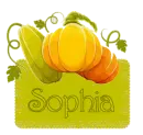 Fall squash - Sophia