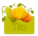 Fall squash - Tito