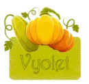 Fall squash - Vyolet