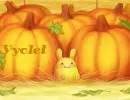 Vyolet