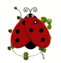 lady bug
