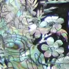 Korean Abalone Flower Avatar