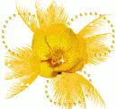 yellow mix