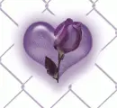 heart in love