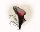 black flower