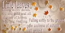 autumn