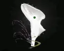 White flower
