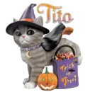 Halloween cat