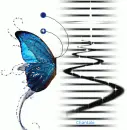 blue batterfly