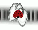 leaf and ladybug