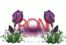 Roni ...love it