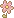 pink flower