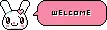 Welcome - bunny