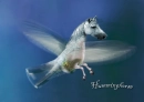 Humminghorse