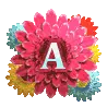 1ST  ALPHABET