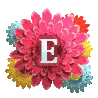 5TH ALPHABET