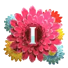 9TH ALPHABET
