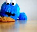 Cookie Monster