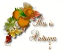 This is Autumn