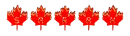 Dingfonts RCMP burning