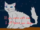 Silver Cat