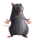 RAT