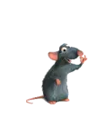 RAT