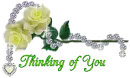 Thinking  of You - Yellow Roses