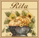 Fall Pumpkins - Rita