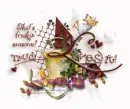 sliding toosh_trudi